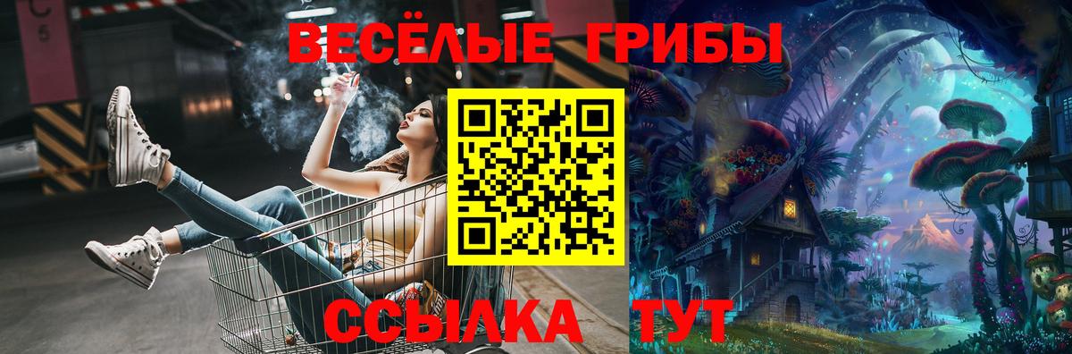 Салават  Галлюциногенные грибы Cubensis  Вход с VPN 