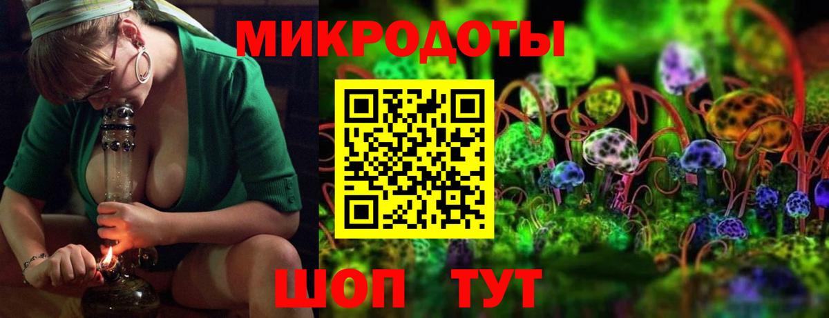 Псилоцибиновые грибы мицелий Салават